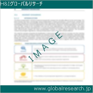 グローバルリサーチ調査レポートのイメージ